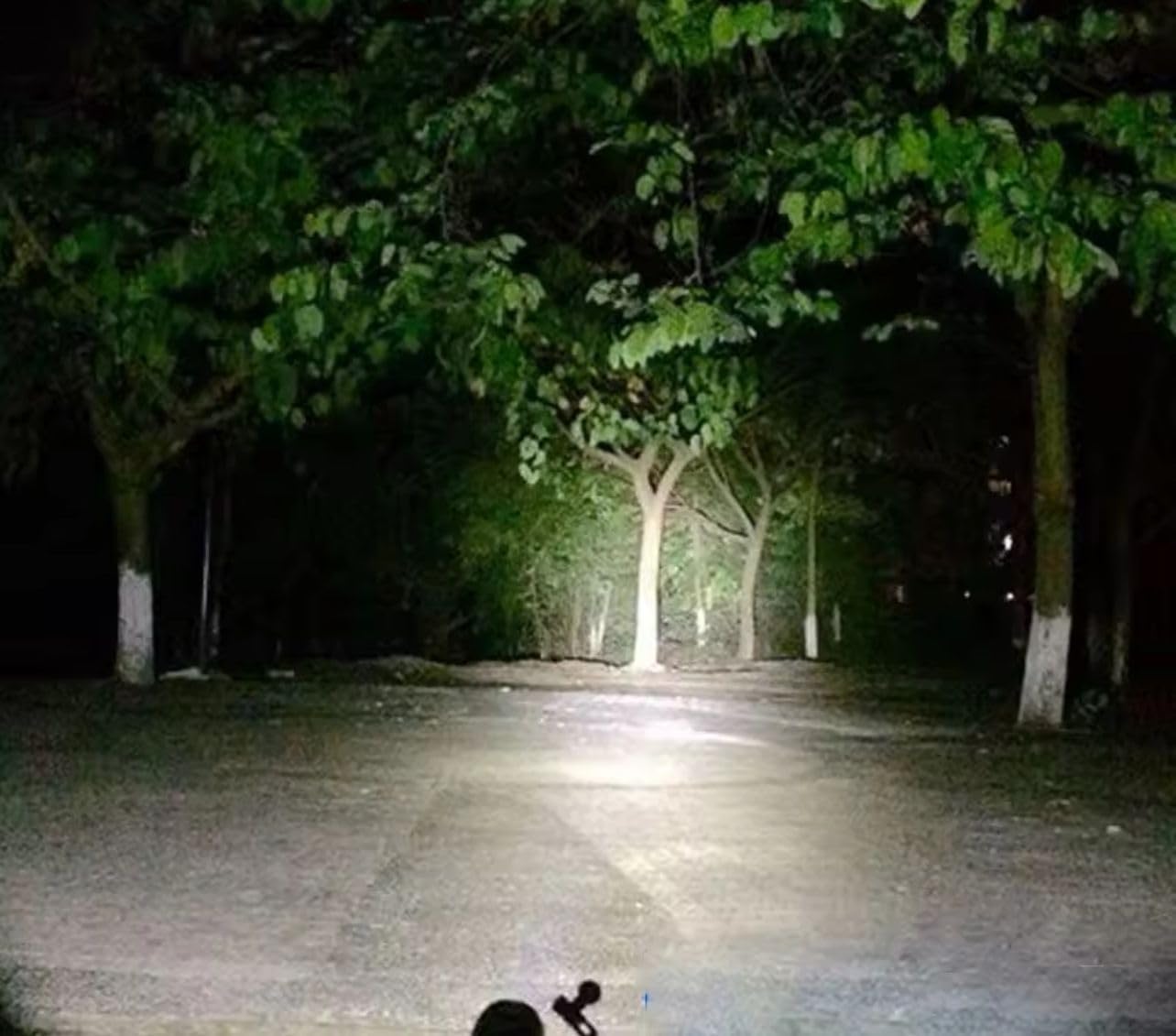 Kit Potatura Motosega Elettrico Forbice Elettrico Faro led da lavoro illuminazione con 2 Batteria 36 V Asta Telescopica per Potatura Alberi Piante Siepi